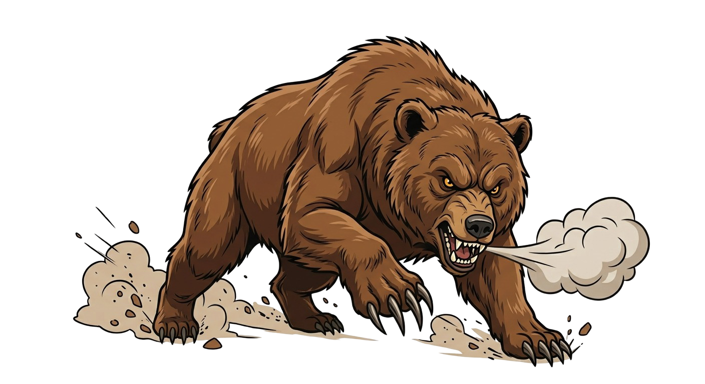 Bear